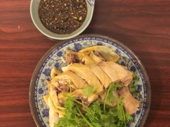 -九斤黄三黄鸡专卖店