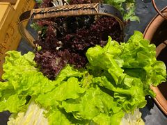 -南门四季铜锅涮肉(左家庄店)