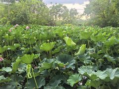 -烟水渔庄餐厅(西溪湿地店)