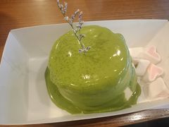 抹茶梳芙厘-狐狸和向日葵(北京路店)