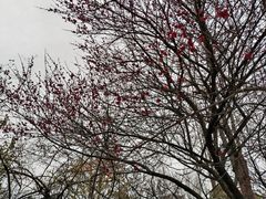 -白沙古井