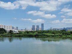 -三垟湿地
