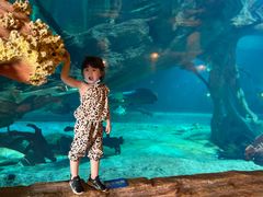 -华夏文旅海洋公园