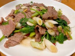 -曾牛肉