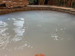 -泉城欧乐堡戏水湾艺术养生温泉