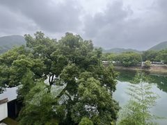 -蒋氏故居