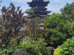 -杭州半山国家森林公园