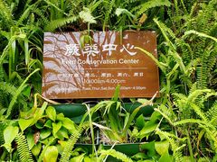 -深圳仙湖植物园