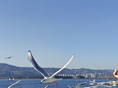 -宋大妈·怡得饭庄·昆明菜(海埂店)