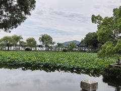 -无锡蠡湖国家湿地公园-蠡园