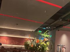 -捞王猪肚鸡火锅(金华义乌之心店)