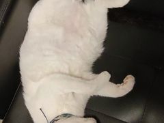 -CLUE演绎实景剧本杀(江南西店)