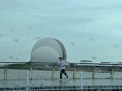 -野狸岛