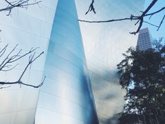 -华特·迪士尼音乐厅