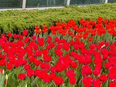 -石家庄市植物园