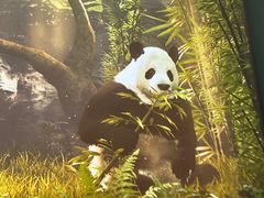 -珠海横琴国家地理探险家中心(创新方)