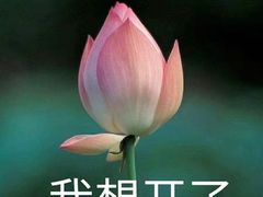 -茉沏(光启城店)