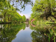 -野蔓果·山野菜(西湖景区·龙井茶田店)
