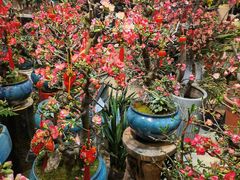 -双季花艺园艺市场(浦东店)
