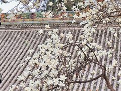 -罔极寺