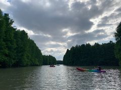 -上海海湾国家森林公园