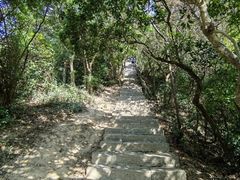 -梧桐山风景名胜区