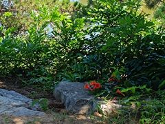 -北京西山国家森林公园