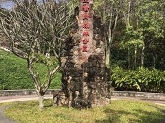 -王借岗森林公园