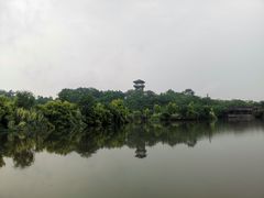 -张坝桂圆林公园