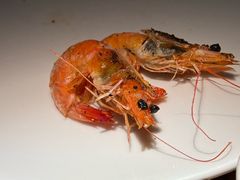 -拉蒂娜·巴西牛排馆 Latina·Brazilian Steakhouse(铜仁旗舰店)