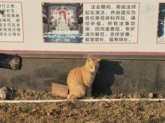 -上海财神庙