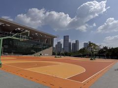-深圳市宝安体育中心体育场