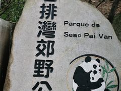 -石排湾郊野公园