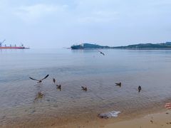 -海驴岛(荣成市)