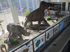 -中国第四纪冰川遗迹陈列馆