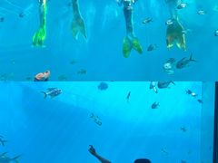 -瑞德姆美人鱼海底演艺主题餐厅(亚龙湾店)