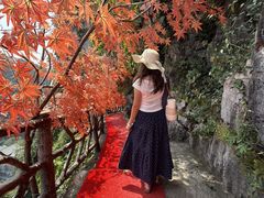 -荔江湾景区