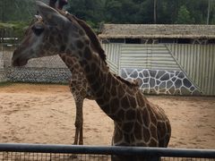 -泉州海丝野生动物世界