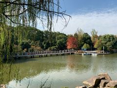 -白马涧龙池景区
