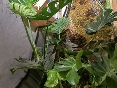 -邈墨茶馆(凤起路店)