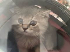 -爱诺耐芙动物医院(万博店)