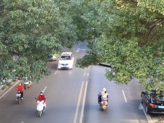 -秦巴石锅鱼