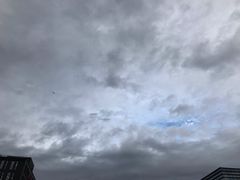 -新浪总部大厦