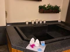 -春晖园度假酒店温泉