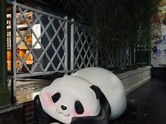 -轩客会(熊猫书店)
