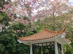 -火炉山森林公园