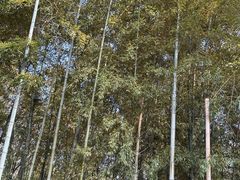 -宝岩生态观光园