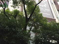 -梅龙镇广场