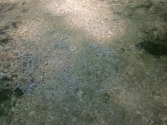 -白水寺森林公园