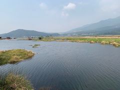 -腾冲北海湿地